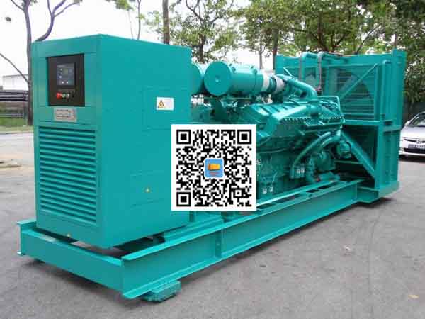 临泽租赁发电机-康明斯发电机性价比还是比较高的