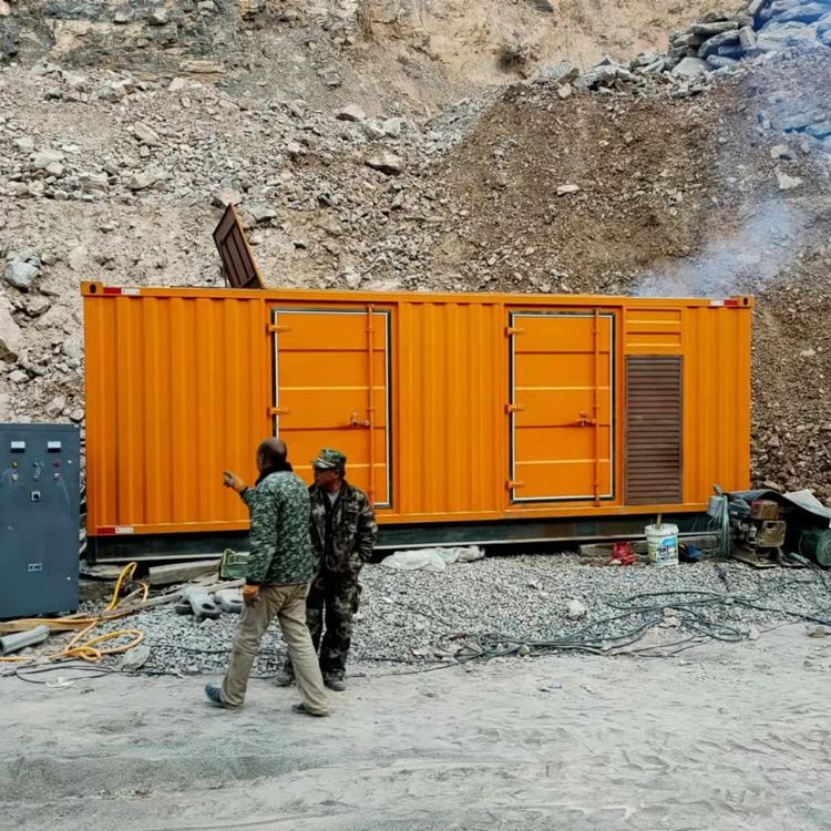 临泽如何选择适合自己的 800KW 柴油发电机组？